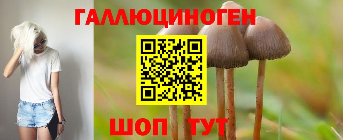 Галлюциногенные грибы Psilocybe Елизово